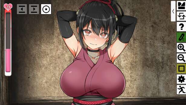Fallen Shinobi忍堕女忍调教官方中文版下载