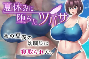 夏天掉落的翼v1.0汉化版