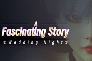 婚礼之夜A fascinating story Wedding Night Build.13561847中文版