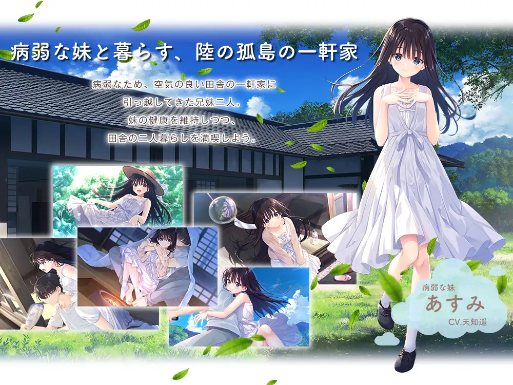 痴情哥哥与病弱妹妹的乡间生活 v1.0官方中文版